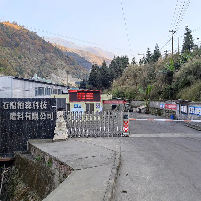 Физические и химические свойства карбида бора