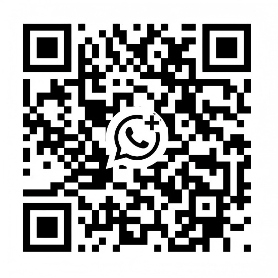 WhatsApp +8617753737156