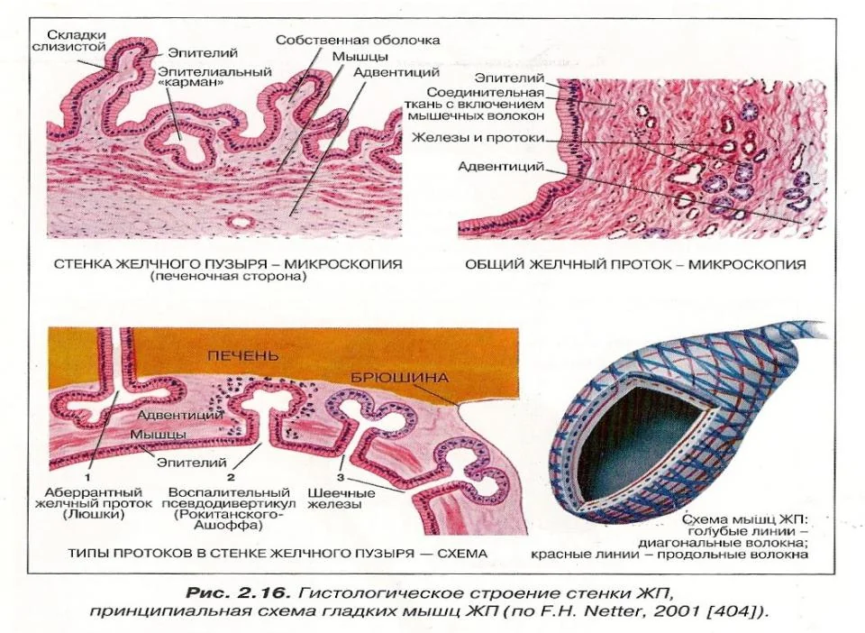 Китай: Мембранное разделение черного щелока от ведущих поставщиков