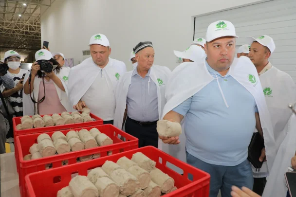 Китай: Решения для очистки высокотемпературной пыли и дыма от надежных Поставщики