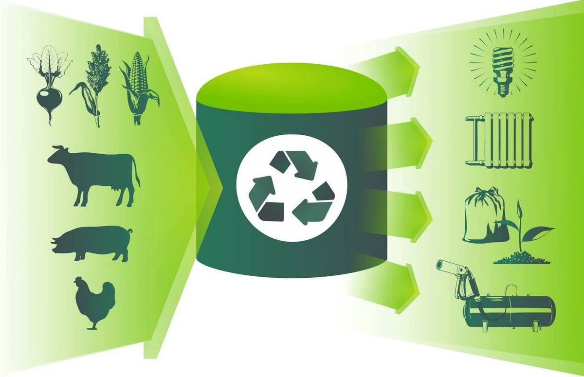 Китай: Очистка биомассового газа от ведущих поставщиков