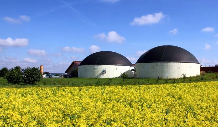 Китай: Очистка биомассового газа от ведущих поставщиков