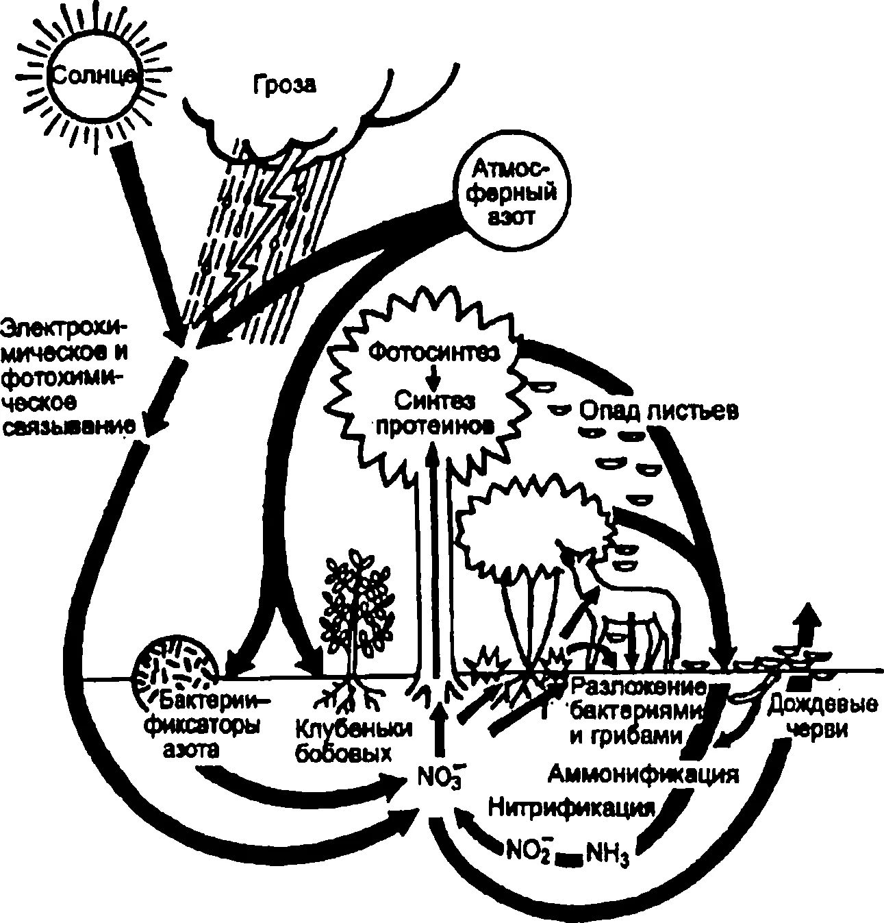 Китай: Обеспыливание и денитрификация печей обжига молибдена от ведущих поставщиков