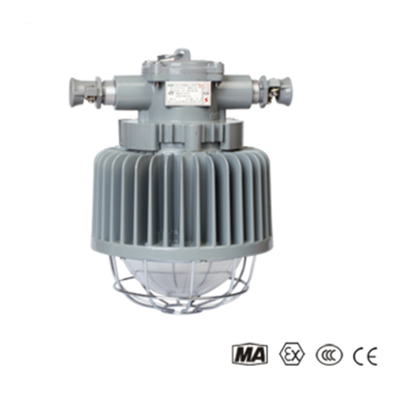 DGS50127L — взрывозащищенный светодиодный светильник для шахтных выработок