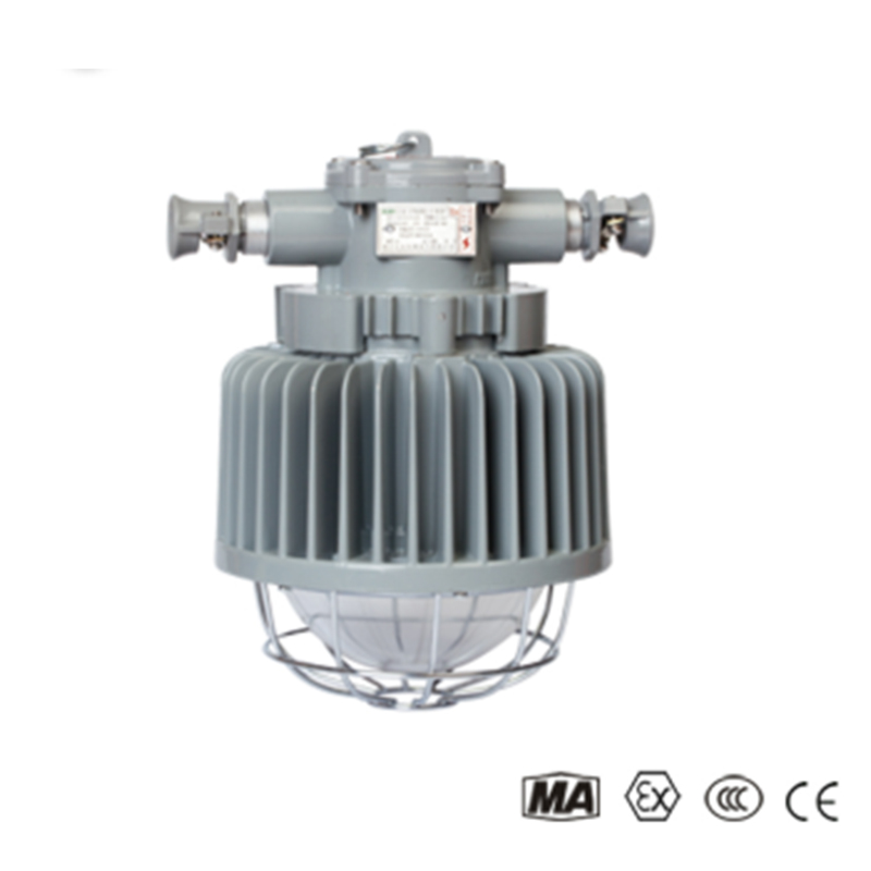 DGS50127L(A) — взрывозащищенный светодиодный светильник для шахтных выработок