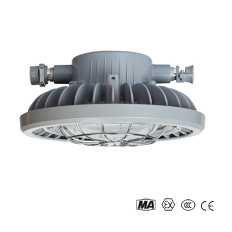 DGS70127L(A) — взрывозащищенный светодиодный светильник для шахтных выработок