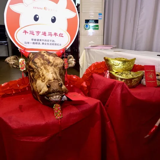 Сосредоточить силы и двигаться к новому пути | Годовое собрание Genial 2026 успешно завершилось