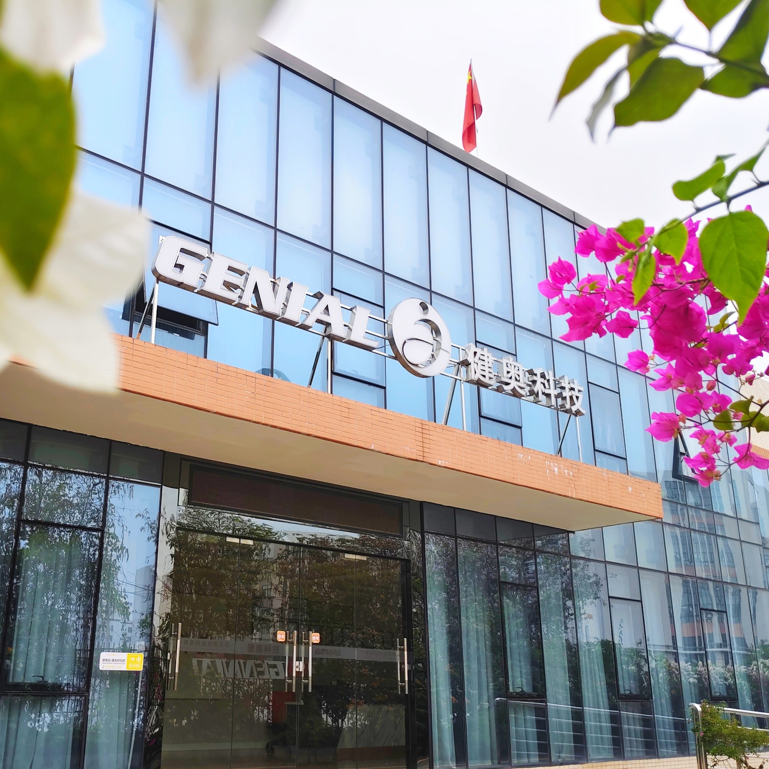 Весенний ветер нежно касается лица, цветы расцветают в полном великолепии