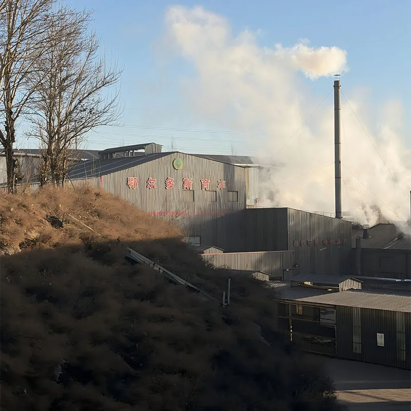 Углубление корней в отрасли, укрепление будущего