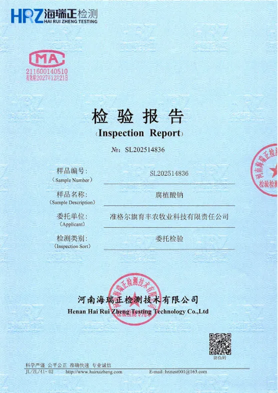 Сертификат (1)