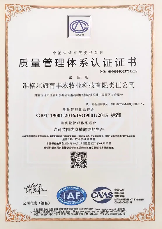 Сертификат (10)