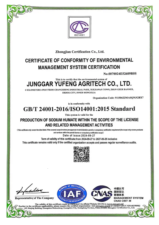 Сертификат (11)