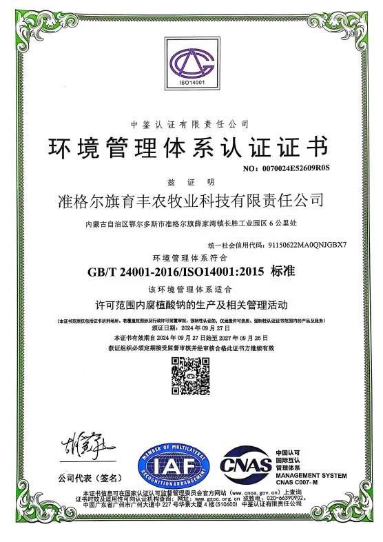 Сертификат (12)