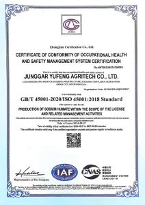 Сертификат (13)