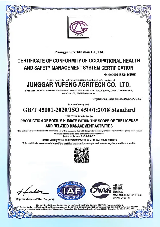 Сертификат (13)