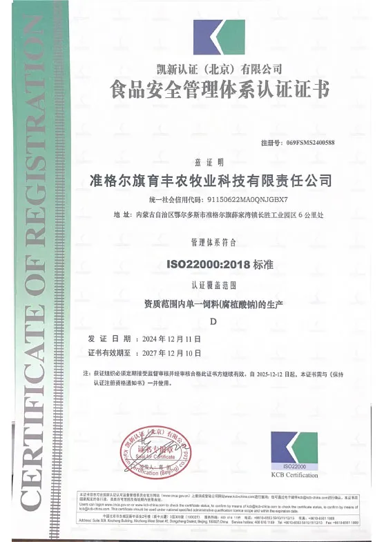 Сертификат (15)