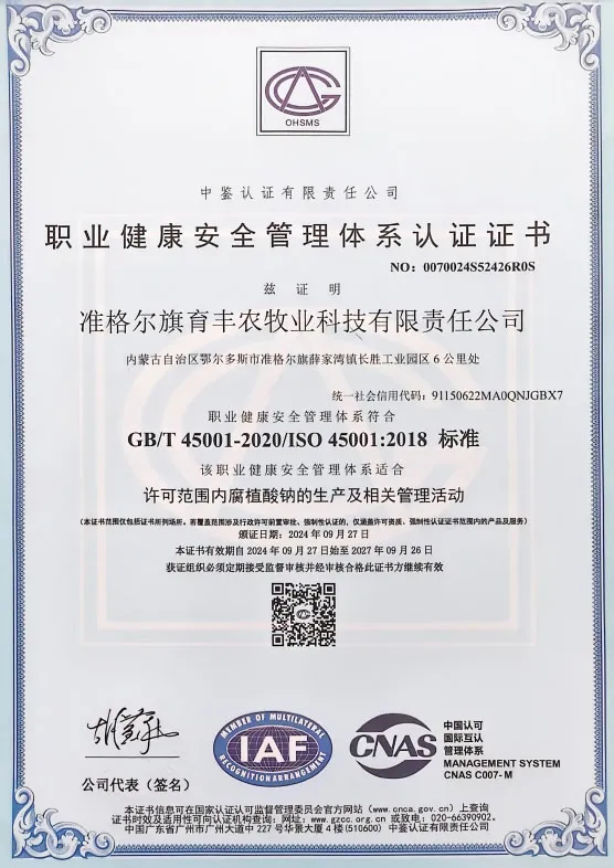 Сертификат (17)