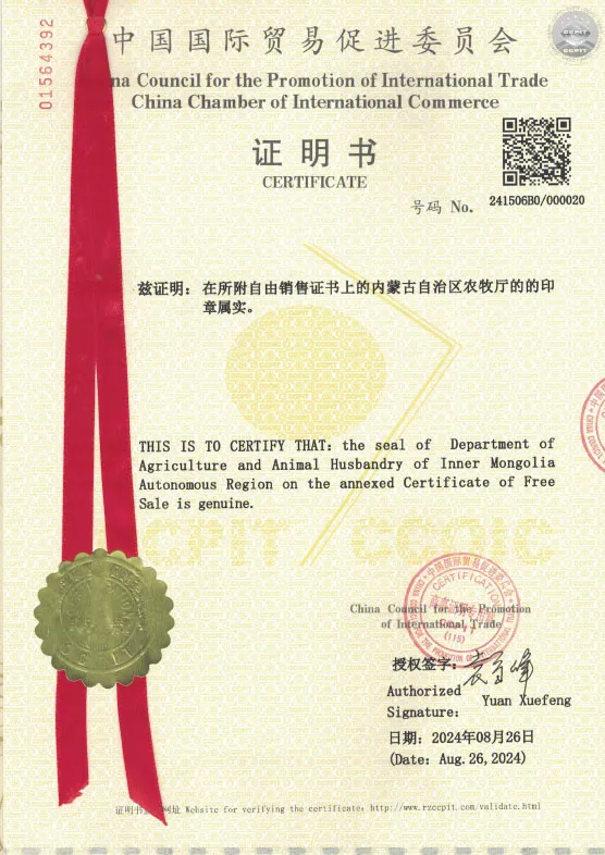 Сертификат (2)