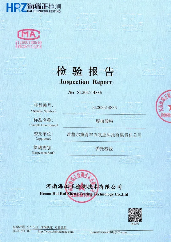 Сертификат (5)