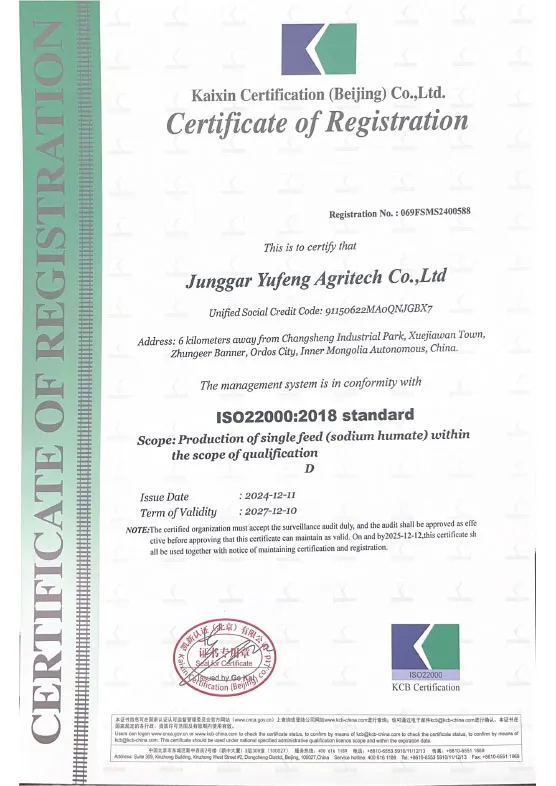 Сертификат (8)