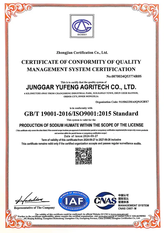 Сертификат (9)