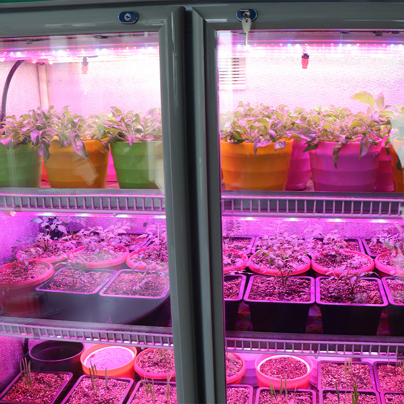 Фотоэлектрический контейнер для выращивания овощей