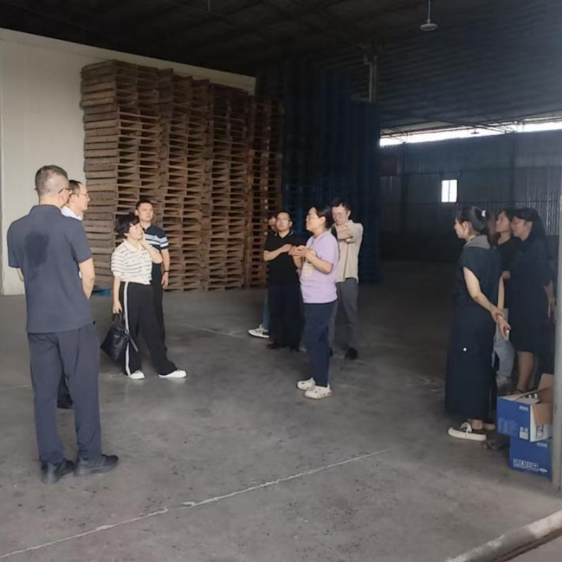 Руководство уезда посетило предприятие по переработке лимонов для проведения выездного исследования с целью содействия высококачественному развитию отрасли