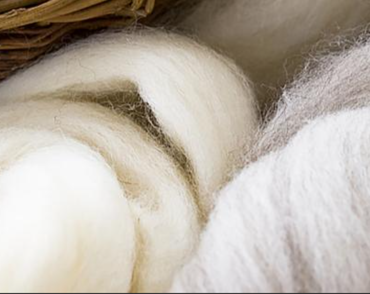 Основные положения научного хранения сырья из кашемира