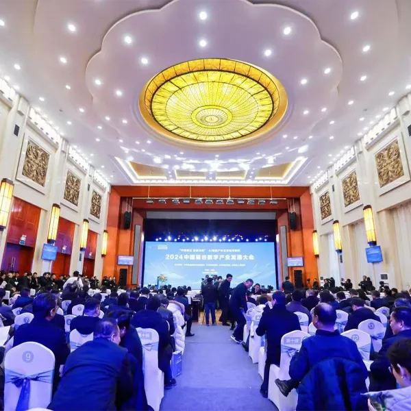 Чаосинь Кабель в 2024 году Китай счетной долины цифрового развития промышленности Награда “Выдающийся вклад предприятия” на конференции