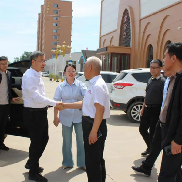 Секретарь Ян Юньфэн из уезда Сихун провинции Цзянсу посетил компанию Huayou с целью обмена опытом.