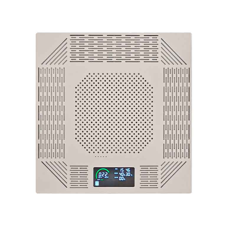 SR-X800DBY Потолочный кислородогенерирующий обеззараживатель-очиститель воздуха 10 л