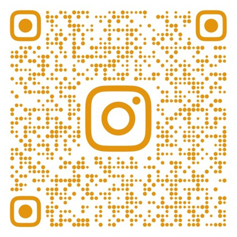 insgram