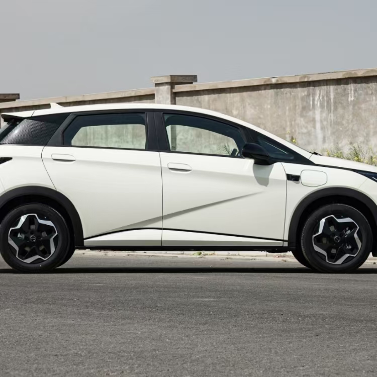 BYD Dolphin 420 Free Edition with Smart Driving