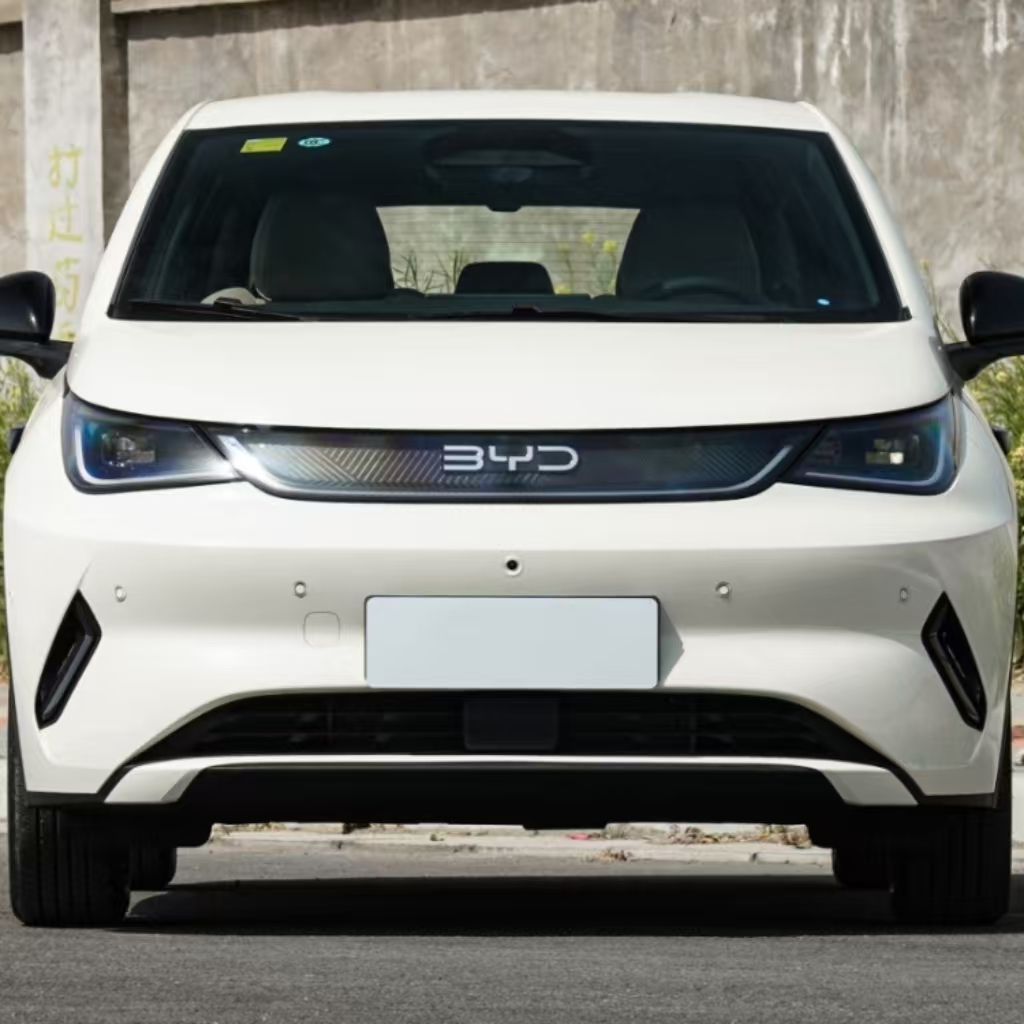 BYD Dolphin 420 Free Edition with Smart Driving