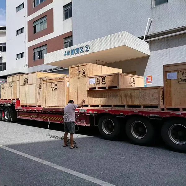 Крупные международные проекты Сэньцань