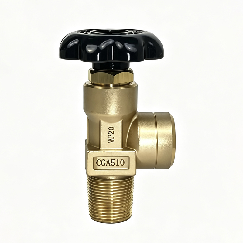 CGA510