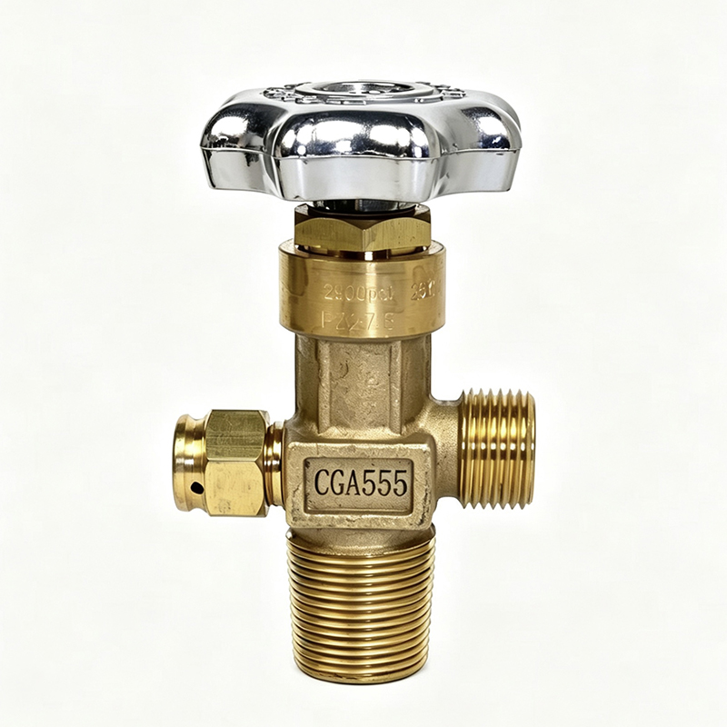 CGA555