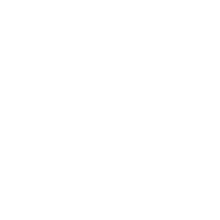 Опыт работы