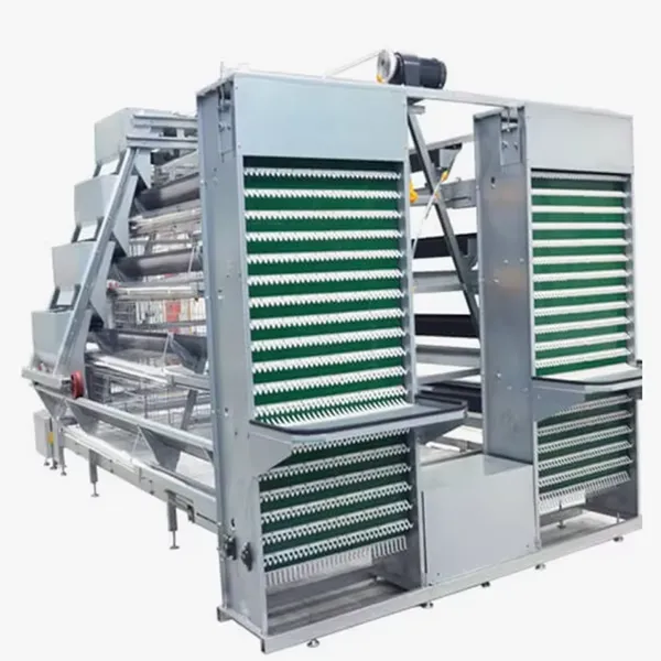 Автоматическая система сбора яиц для уток-несушек