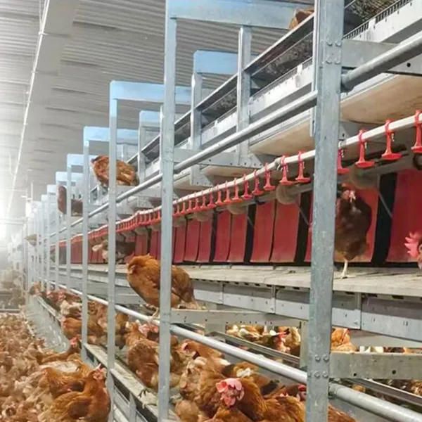 Клетка обогащенной среды для кур-несушек