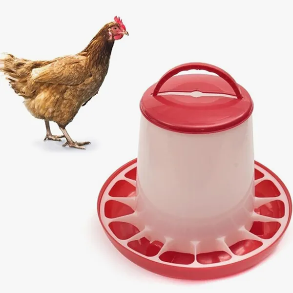Кормушка для кур-несушек