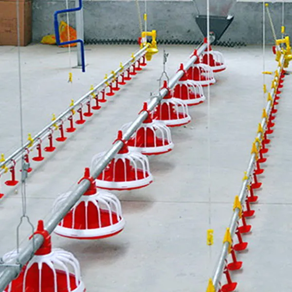 Шнековая линия кормления бройлеров может уменьшить потери?