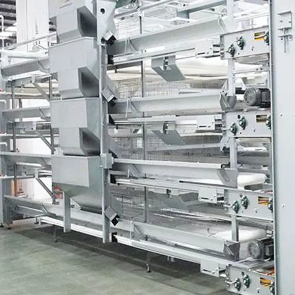 Как выбрать клеточное оборудование для фермы?