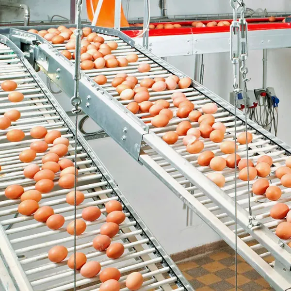 Система сбора яиц