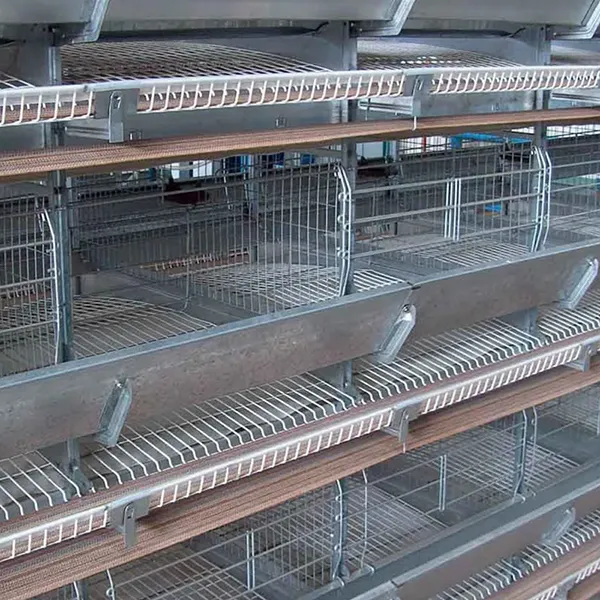 Многоярусные клетки для несушек-уток