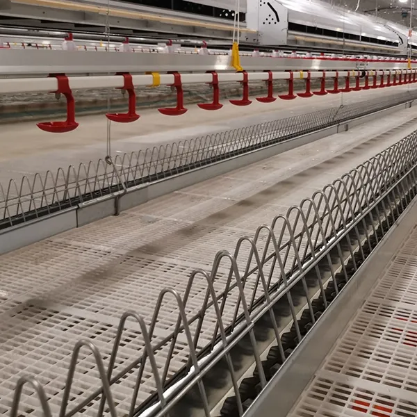 Цепная желобковая линия кормления для кур