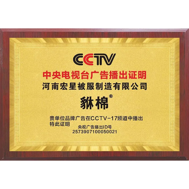 Рекламный ролик компании Henan Hongxing Bedding Manufacturing Co., Ltd. был успешно запущен на канале CCTV-17.