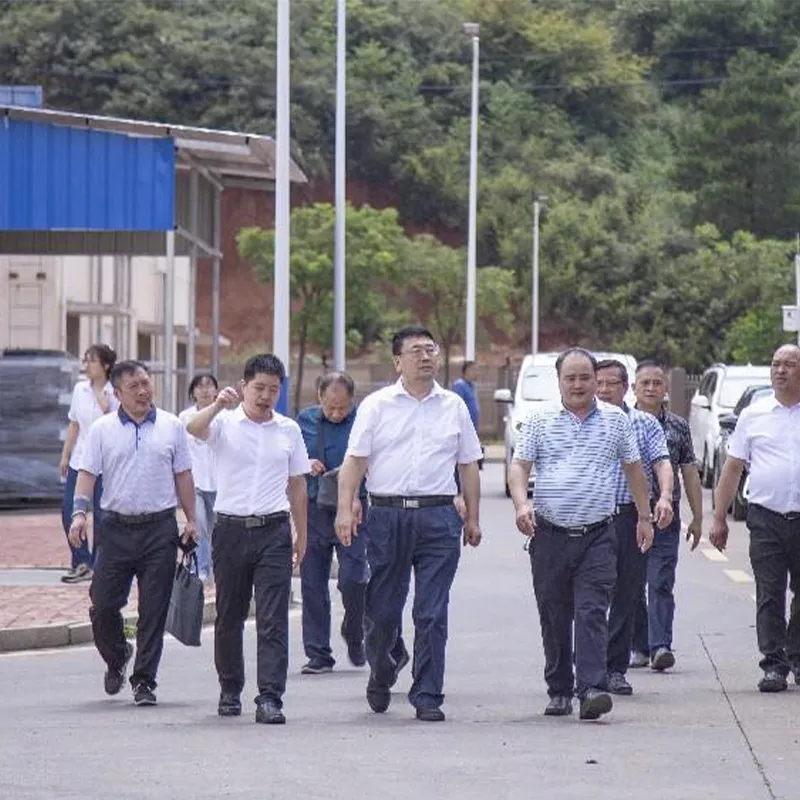 Руководители провинциального и городского департаментов промышленности и информатизации посетили Хунань Синнэн Индастриал с рабочим визитом