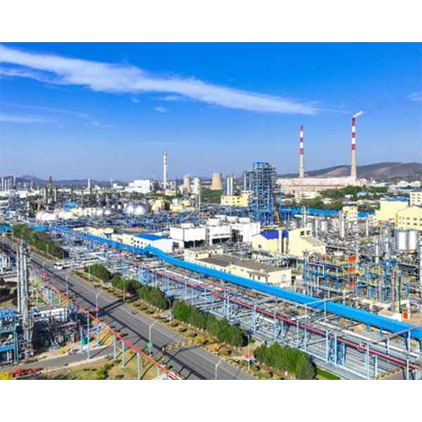 Проект Panjin Petroleum Group
