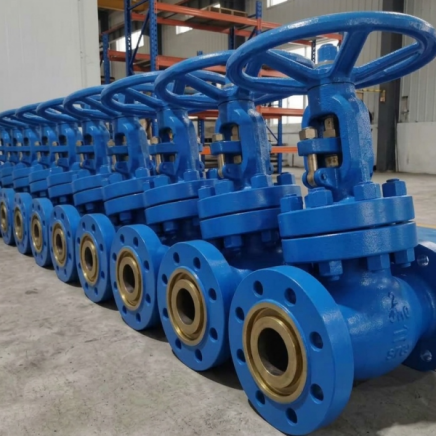 Узнайте, как пользоваться 4-дюймовым задвижным клапаном класса 300 CF8M!